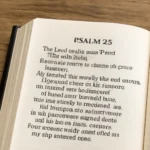 23 psalm text – Der vollständige Psalm 23 Text mit Bedeutung und Auslegung 23 psalm text
