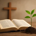 Neues Leben in der Bibel: Bedeutung, Kraft und Hoffnung neues leben bibel