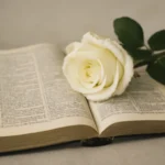 trauersprüche bibel
