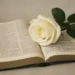 trauersprüche bibel