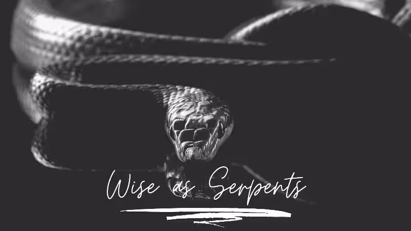 Be Wise as Serpents: Navigating the Religious Landscape with Caution and Insight