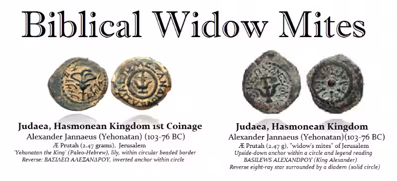 The Biblical Widow: A Timeless Portrait of Resilience and Faith The Biblical Widow: A Timeless Portrait of Resilience and Faith