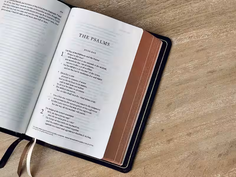 Navigating the World of Bible Translations: ESV vs. KJV Navigating the World of Bible Translations: ESV vs. KJV