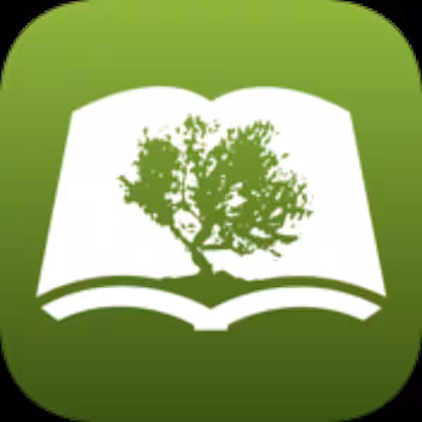 The Green Olive Tree in the Bible: A Symbol of Hope and Renewal