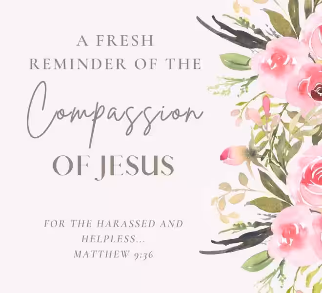 The Heart of Compassion: Jesus's Example for Us Today