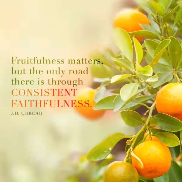 Fruitfulness: A Spiritual Journey of Abundance
