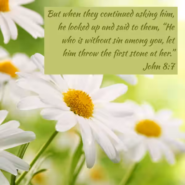 The Weight of Judgment: Understanding "Throw a Stone" in the Bible