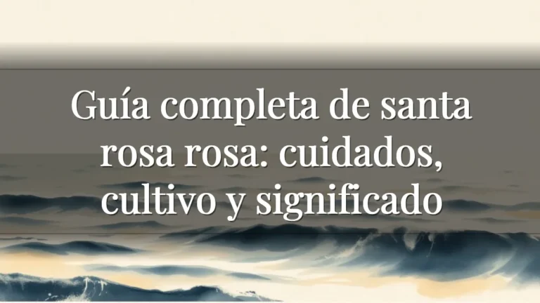Guía completa de santa rosa rosa: cuidados, cultivo y significado