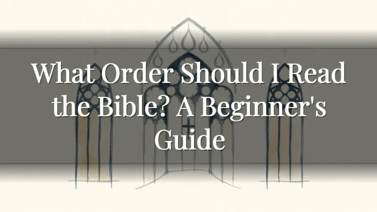 What Order Should I Read the Bible? A Beginner's Guide