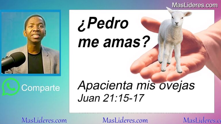 apacienta mis ovejas significado