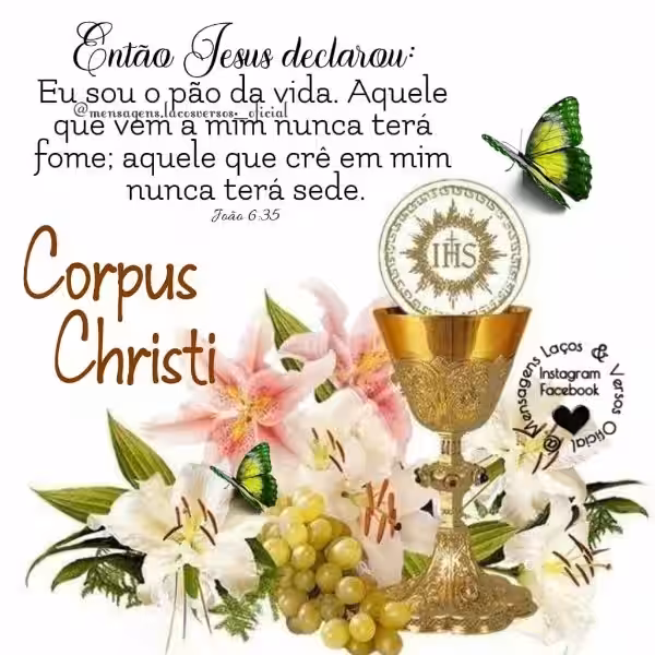 Frases para estados de WhatsApp: Encuentra la inspiración religiosa perfecta