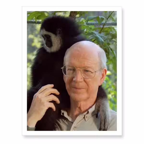 Navigating Conflict Biblically: A Path to Reconciliation