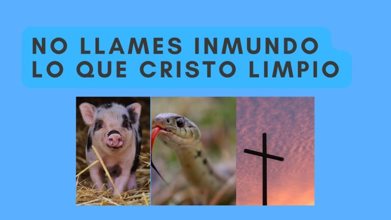 no llames inmundo