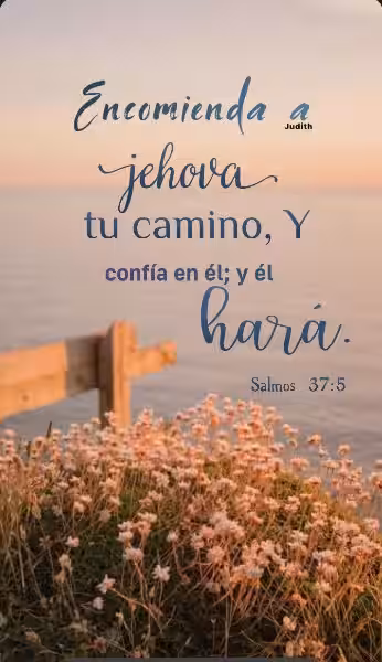 Las Frases Bíblicas que Iluminan Nuestra Fe y Vida frases_biblicos