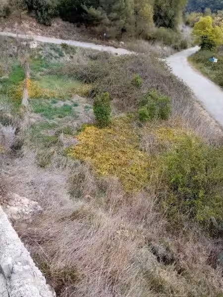huerto_de_santamaria