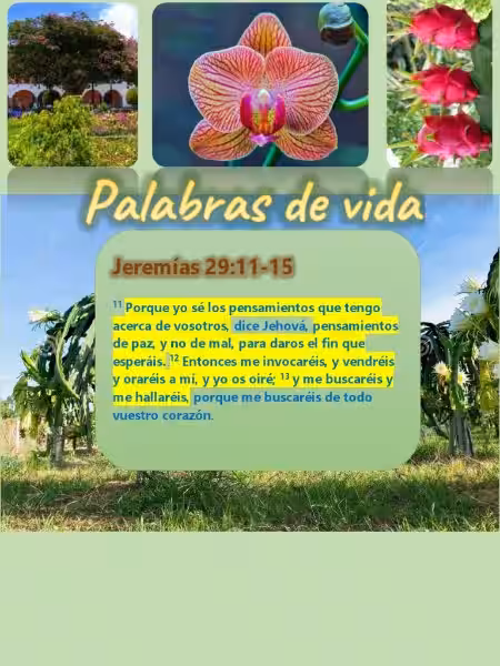 Jeremías 11:29: La Profecía y Nuestra Relación con lo Divino jer_11_29