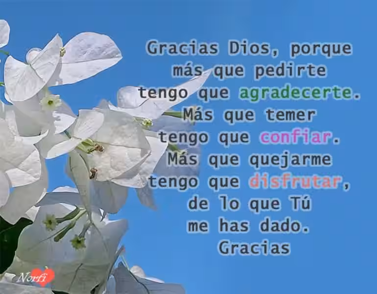 La Profunda Gratitud: Un Vínculo Sagrado a Través de la Oración de Agradecer a Dios oracion_de_agradecer_a_dios