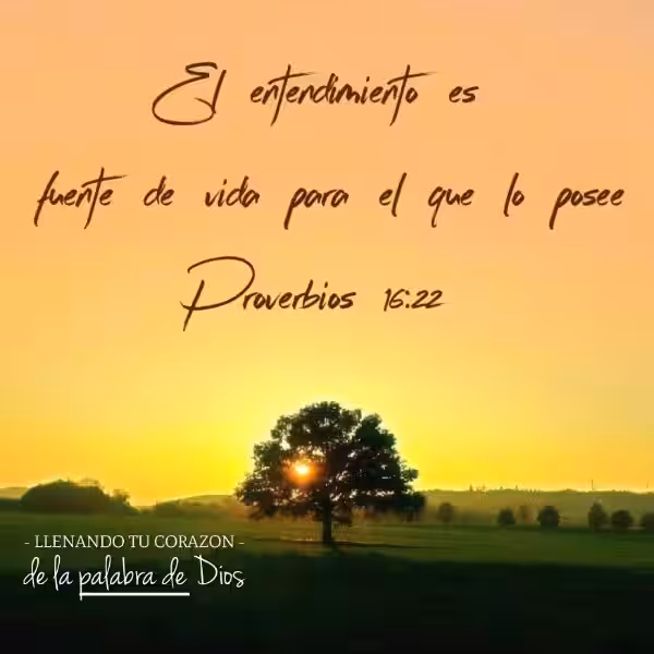 versiculo_de_la_biblia_para_reflexionar