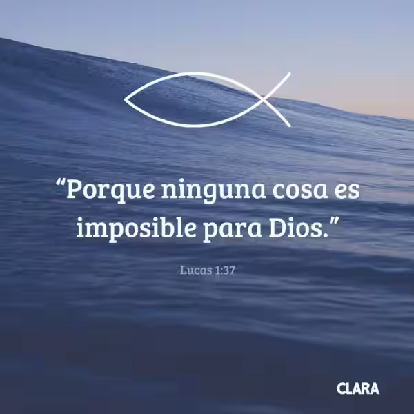 versiculos_biblicos