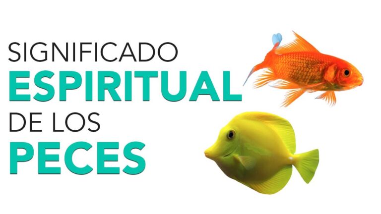 significado espiritual del pez