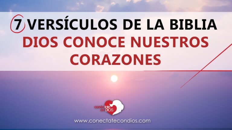 versiculos acerca del corazon